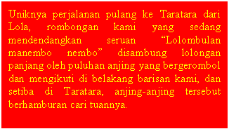 Text Box: Uniknya perjalanan pulang ke Taratara dari Lola, rombongan kami yang sedang mendendangkan seruan Lolombulan manembo nembo disambung lolongan panjang oleh puluhan anjing yang bergerombol dan mengikuti di belakang barisan kami, dan setiba di Taratara, anjing-anjing tersebut berhamburan cari tuannya.


